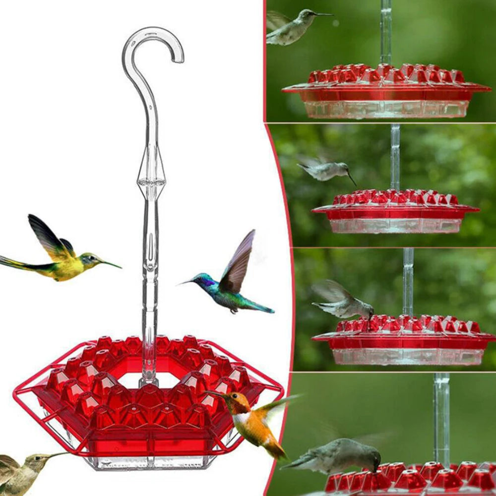 25-Port Hexagonal Hummingbird Feeder