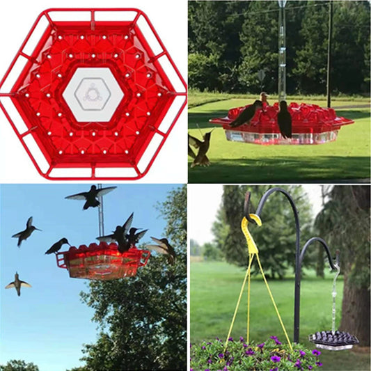 25-Port Hexagonal Hummingbird Feeder